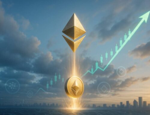 As Ethereum Price Skyrockets, Analysts Are Tipping Cardano And Remittix For 1000% Rallies