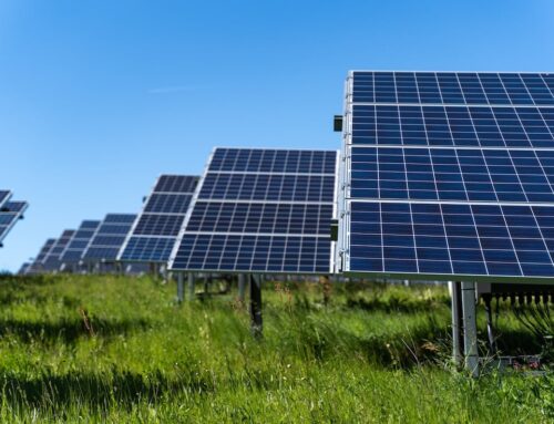 Blue Elephant Energy secures US$214 million from Infranity