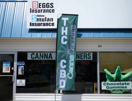 Dabney: The plan to raise Minnesota’s cannabis tax to 15% will fuel the black market