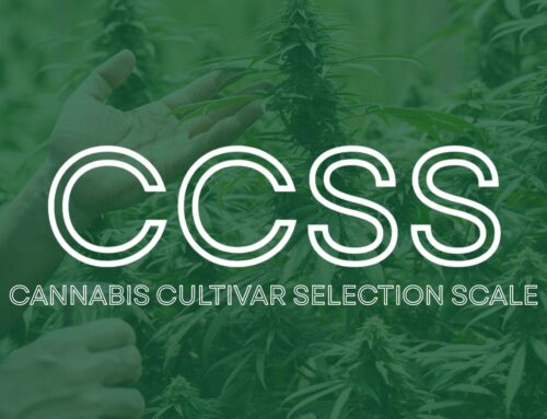 Cannabis Cultivar Selection Scale announced to push cannabis beyond THC