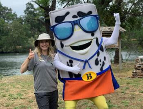 Volunteers sought for World Environment Day cleanup in Solano