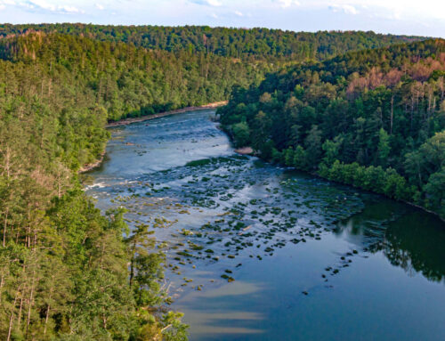 Alabama environmental groups secure rare win in fight to update water toxicity standards