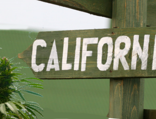 State Proposes New Cannabis Pesticide Limits, Public Comment Open Through July 28