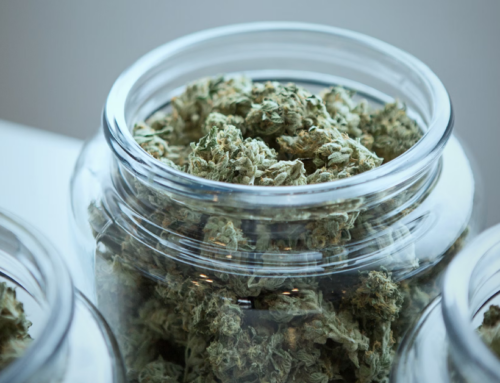 CT recreational cannabis retail sales set new high
