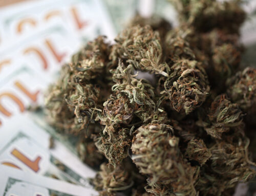 NJ to open cannabis consumption lounge applications July 2