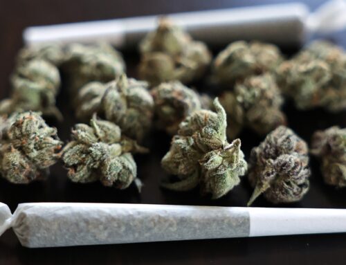 Cannabis Users at Higher Risk of Heart Attack and Stroke