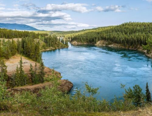 Canada invests in Indigenous-led 2.85 MW solar project