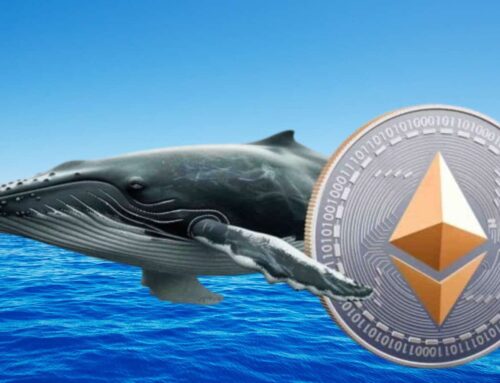 Ethereum Whale Activity Surges As Accumulation Hits 2020 Levels