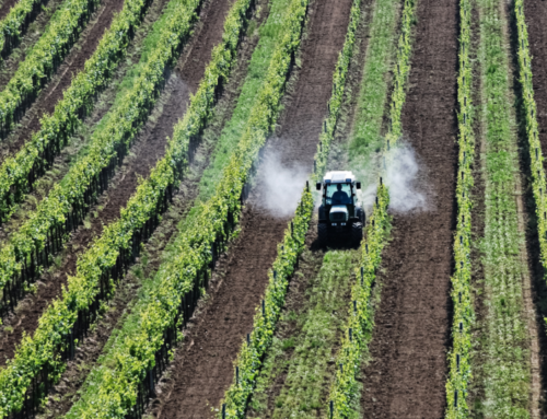Ubiquitous Pesticide Residues from Food Production Threatens Public Health and Environment