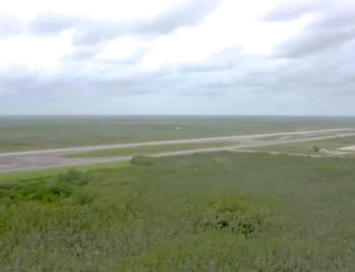 Florida’s ‘Alligator Alcatraz’ Everglades prison ignores both environment and history