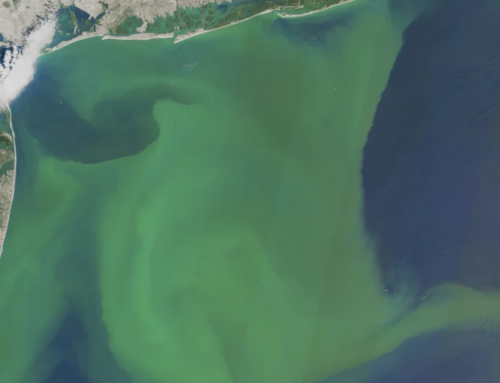 Supreme Court curbs ability to clean up environmental disasters