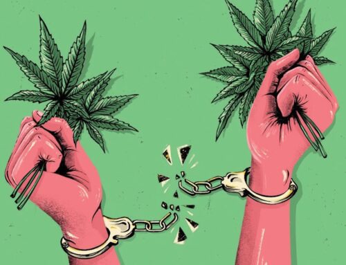 Dear President Trump: America Needs Cannabis Reform and Safe Banking—Now | stupidDOPE