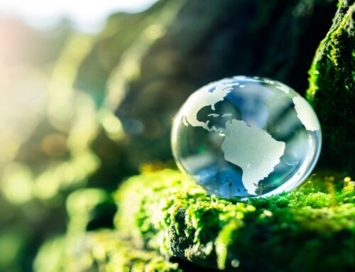 Developing Economies Cannot Afford a Fossil-Free Future Yet