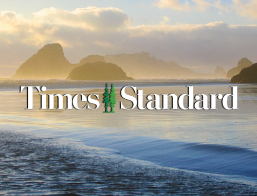 My Word | Electric truck fleets could help environment