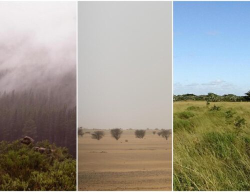 Early humans survived in a range of extreme environments before global migration, study sa