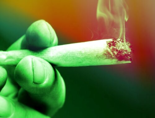 Cannabis Linked to 2x Risk of Heart Disease Death, Scientists Discover