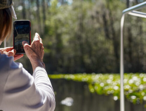 People Using Apps Like iNaturalist and Merlin Are Helping Fuel Scientific Discovery