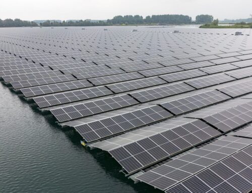 What will the rise of floating solar panels mean for wildlife?