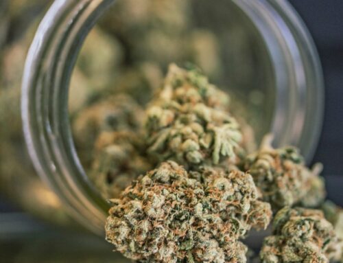 Here’s when social cannabis license rules could be finalized in Massachusetts