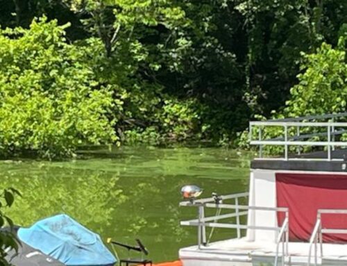 Environmental leaders warn of harmful effects of algal bloom in Ky. lake