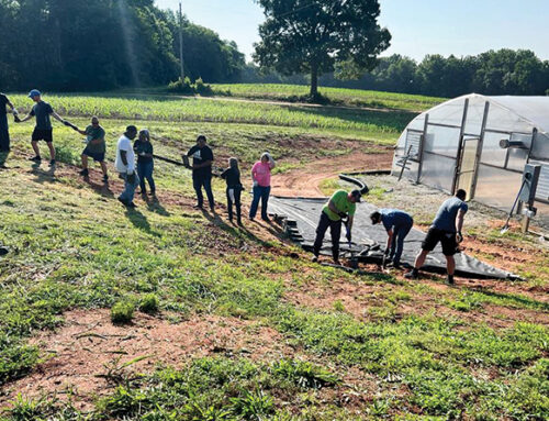 Schneider Electric volunteers power up community farm on Global Environment Day