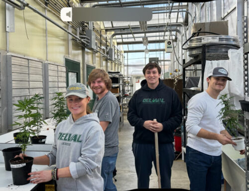 DelVal adding to its Cannabis education program to meet job demand