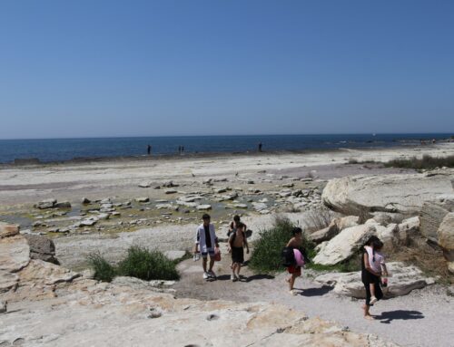 ‘The Caspian Sea is shrinking. It is visible with the naked eye’