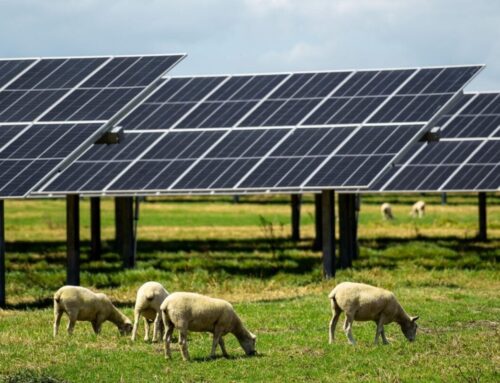 Lodestone Energy begins construction of 28MW solar PV plant in New Zealand