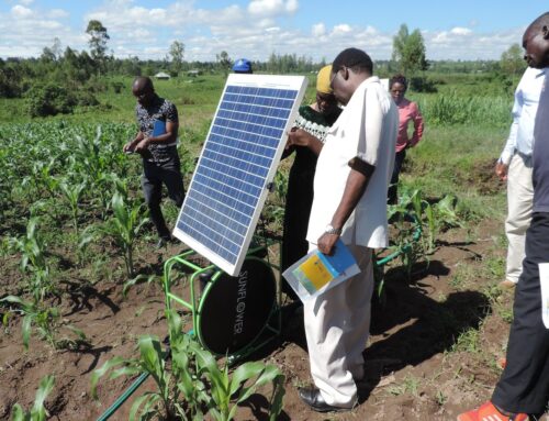 USAID Freeze Puts Kenya’s Renewable Energy Ambitions at Risk