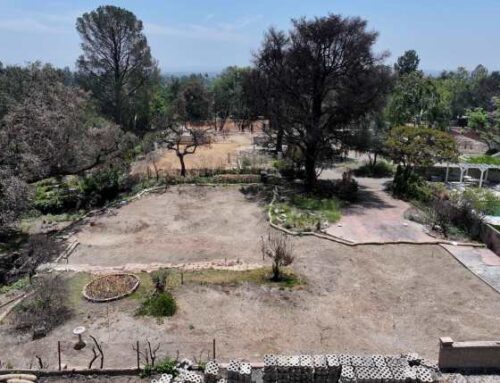 Lottery winner, investors snatch up homesites in LA fire zones