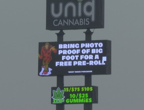 Reported bigfoot sighting in Monroe prompts cannabis dispensary to offer discount for phot