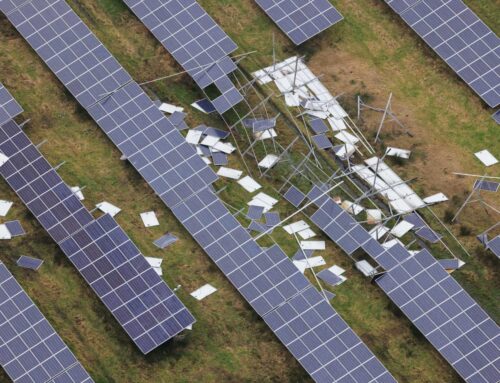 A surprise excise tax sends the clean energy industry into panic