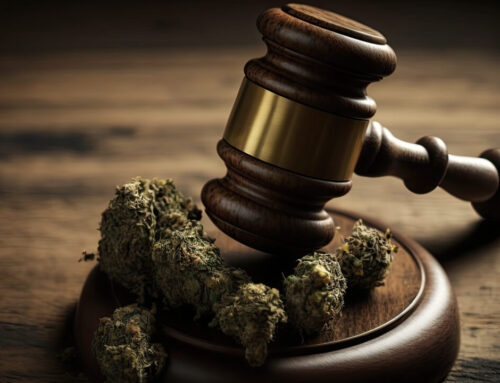 Maryland hemp operators ask judge to redo state’s regulations