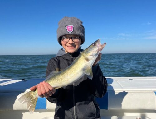 Bill to make walleye the state fish could have tourism, environment benefits: Capitol Lett