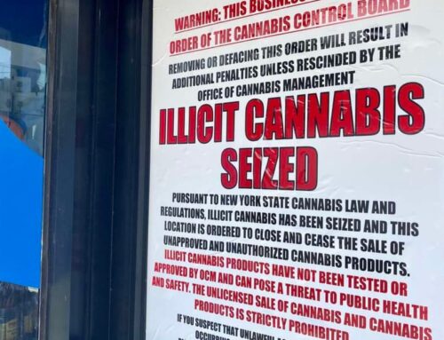 EN smoke shop sealed, illegal cannabis seized following continuing complaints from communi