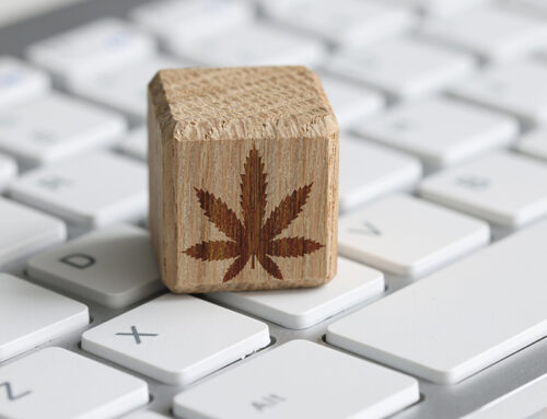 NJBAC finalizes Cannabis Training Academy core curriculum
