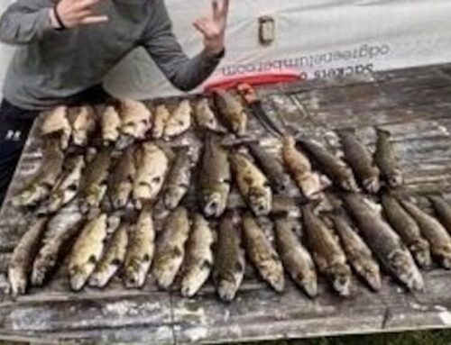 Man had too many trout, say environment officers