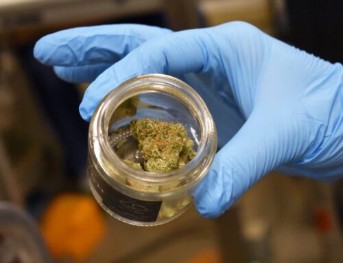 Ohio doubles amount of cannabis flower consumers can purchase starting today