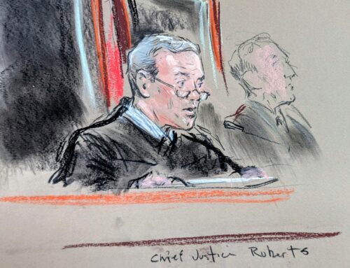 Watching environmental law get eclipsed by Skrmetti