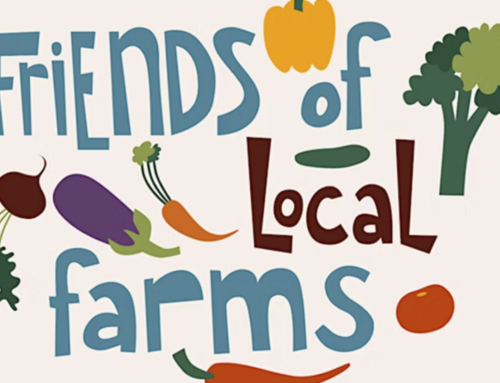 Farmers market, cannabis farm and agricultural land open for summer behind-the-scenes tour