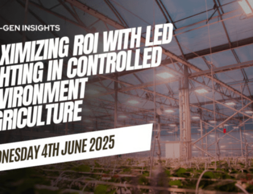 Horti-Gen Insights: Maximizing ROI with LED Lighting in Controlled Environment Agriculture