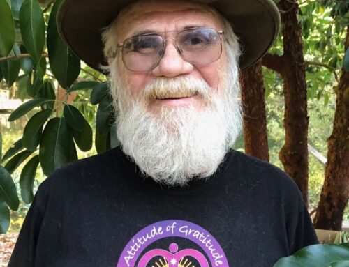 Wade Laughter, Master cultivator and champion of medical cannabis medicine, leaves a legac