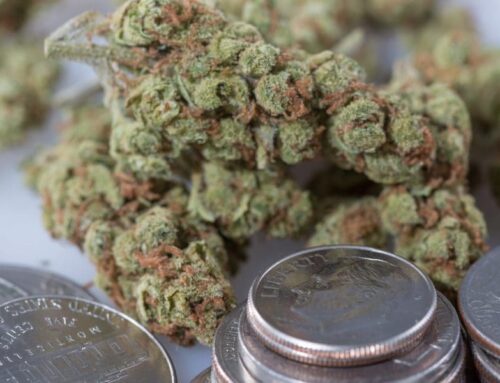 Montana Governor Rejects Bill That Would Direct Cannabis Tax Revenue To ‘Cops And Conversa