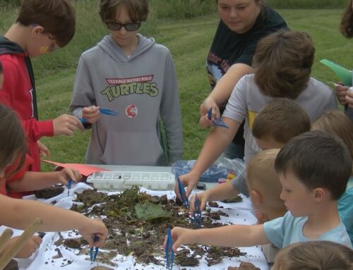 ‘Creek Critter Camp’ teaches lessons on nature and the environment