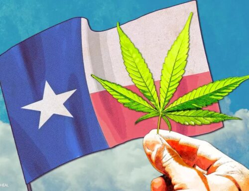 Texas Legalizes Medical Cannabis, Becomes 40th State to Expand Patient Access | stupidDOPE
