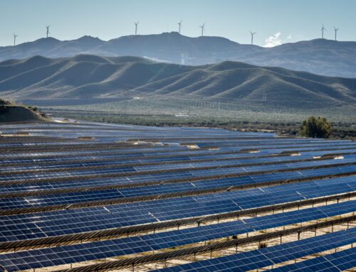 Energy giant switches on massive solar farm that will power thousands of homes