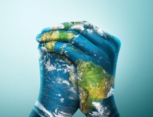 This World Environment Day, Support Earth.Org’s Journalism