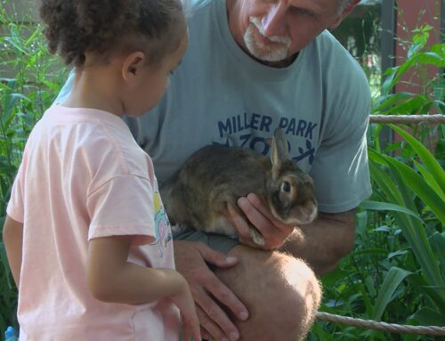 Bloomington Zoo offers comfortable environment for people with disabilities