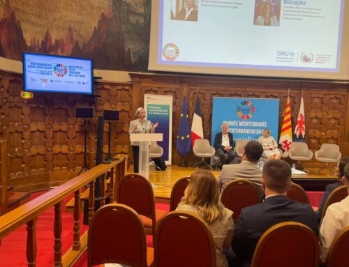 Environment Minister chairs closing session on Mediterranean Sea protection at UN Ocean Co