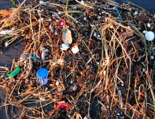 World Environment Day Calls On You To #BeatPlasticPollution